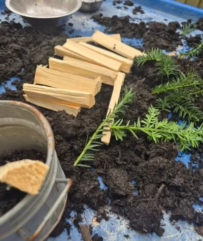 Soil, wood, pots and pans! The children are busy exploring all the different textures outside on the veranda. Inside they have made orange 🍊 play dough and using a variety of tools to create shapes and patterns. 🌿 autumn malleableplay naturalitems