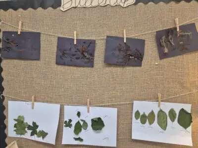 Autumn 🍂 Artwork is up on display in preschool! 🍂 The children have been busy in the garden exploring treasures and different types of leaves 🍃creativity artsandcrafts imagination
